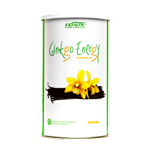 batido ginkgo energy chocolate y vainilla