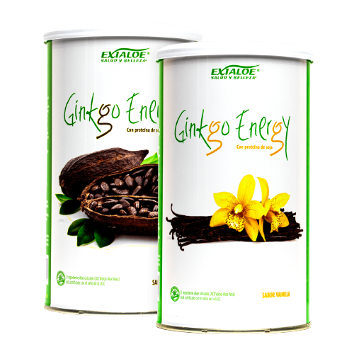 batido ginkgo energy chocolate y vainilla