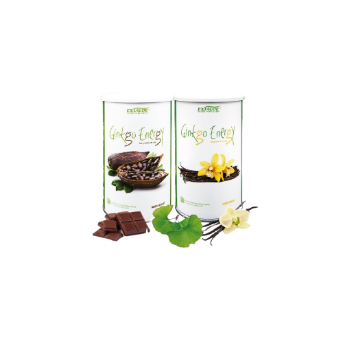batido ginkgo energy chocolate y vainilla