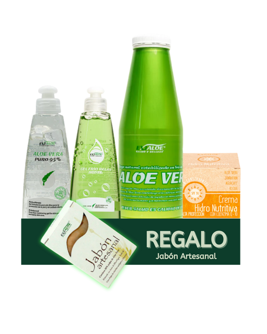 PACK BASICOS XL
