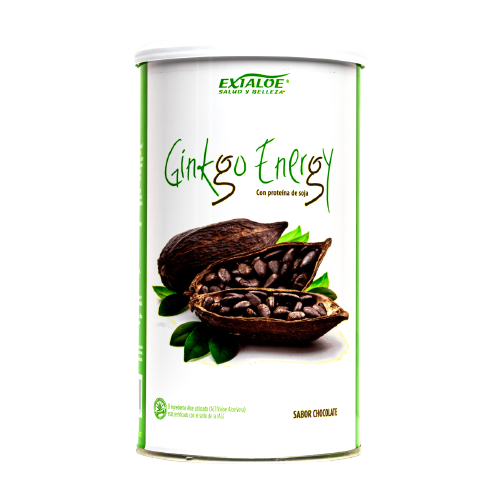 batido ginkgo energy chocolate y vainilla