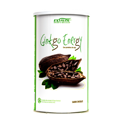 batido ginkgo energy chocolate y vainilla